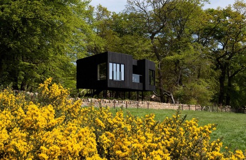 Morpeth Cottage | Cabin ∙ 1 bedroom ∙ 2 guests