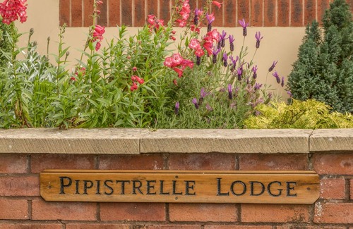 Plymtree Cottage | Cabin ∙ 1 bedroom ∙ 2 guests