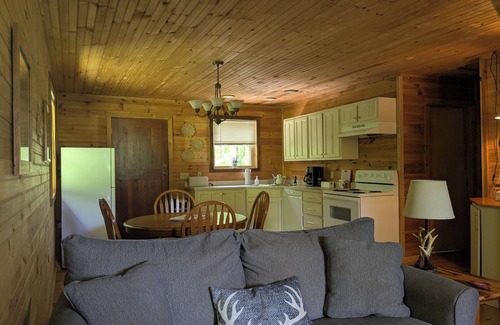 Lynn Garden Cabin | Cabin 1, Cozy Cottage with WiFi, Fireplace and Whirlpool Tub in Duffield, VA