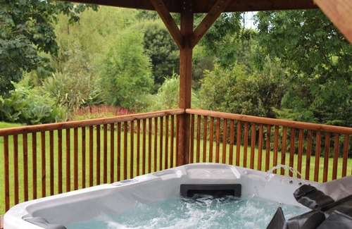 Llanllwchaiarn Cottage | Cabin ∙ 2 bedrooms ∙ 4 guests