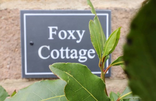 Ripley Cottage | Cabin ∙ 2 bedrooms ∙ 4 guests