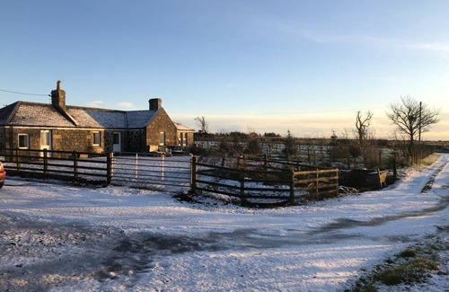 Pittenweem Cottage | Cabin ∙ 2 bedrooms ∙ 4 guests