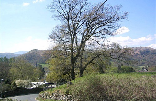 Ambleside Cottage | Cabin ∙ 2 bedrooms ∙ 4 guests