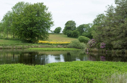 Bontnewydd Cottage | Cabin ∙ 3 bedrooms ∙ 4 guests