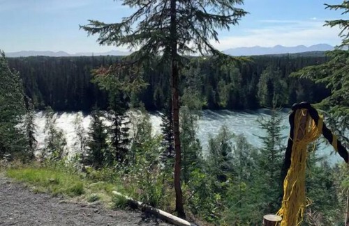 Sterling Cabin | Cabin 3 on the Kenai River