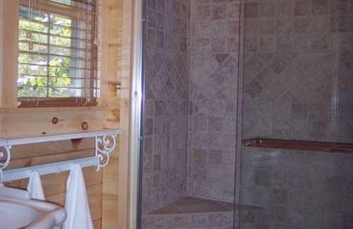 Galax Apartment | Cabin 317 - Three's a Crowd