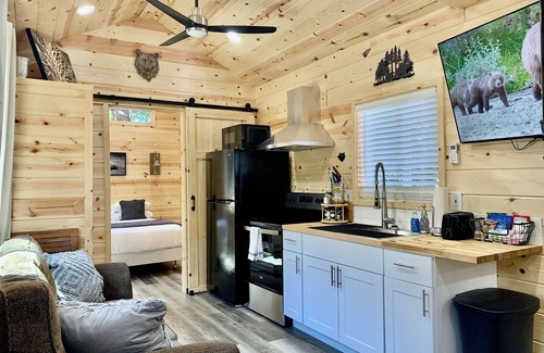 Matlock Cabin | Cabin #4 Lake Nahwatzel Resort - New Tiny Cabin!