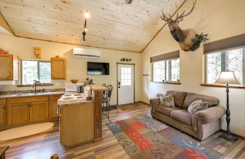 Bayfield Cabin | 'Cabin at the Little Ranch' w/Hiking On-Site!