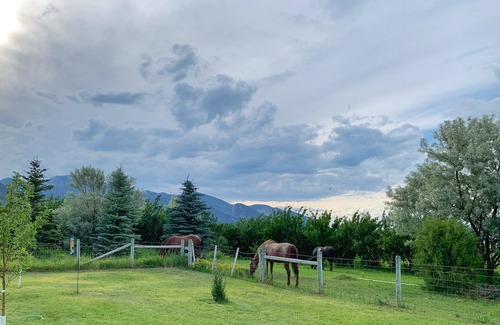 Alder Cabin | Cabin Beneath the Big Sky