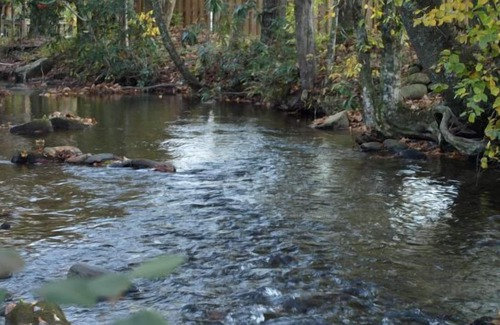 Unaka Cabin | Cabin & Hot Tub on Rushing Trout Stream in the Great Smokey Mountains