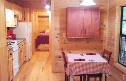Hendersonville Cabin | Cabin in the Woods-Peaceful 1BR 20-Acre Rural Retreat-HotTub&WiFi near Asheville