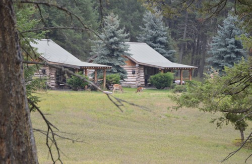 Bigfork Cabin | Cabin in the Woods #3