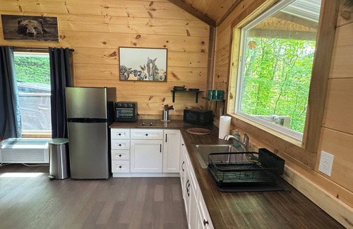 Dandridge Apartment | Cabin in the woods!