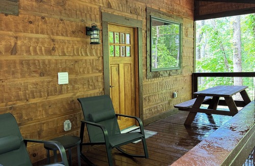 Dandridge Apartment | Cabin in the woods!