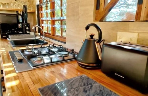 Scott Estate House | Cabin in the woods