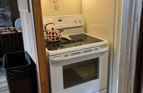 Lancaster Cabin | Cabin located on lakeside with accessible boat dock.