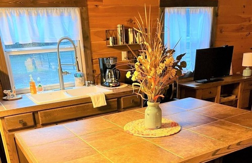 Van Cabin | Cabin Near Canton Trade Days - Quiet Retreat with Country Charm!