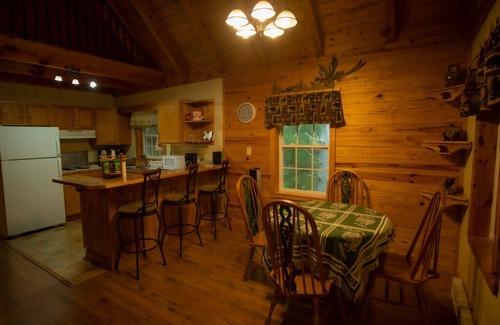 Mustoe Cabin | CABIN W/PRIVATE HOT TUB, MINS TO SNOWSHOE-RESORT,BIKING,HIKING,MOTORCYCLE RIDING