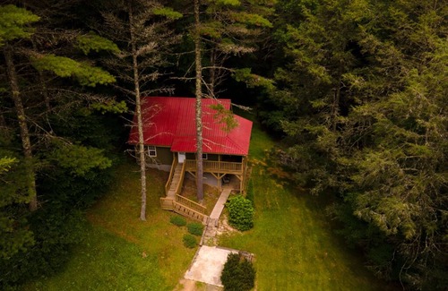 Mustoe Cabin | CABIN W/PRIVATE HOT TUB, MINS TO SNOWSHOE-RESORT,BIKING,HIKING,MOTORCYCLE RIDING