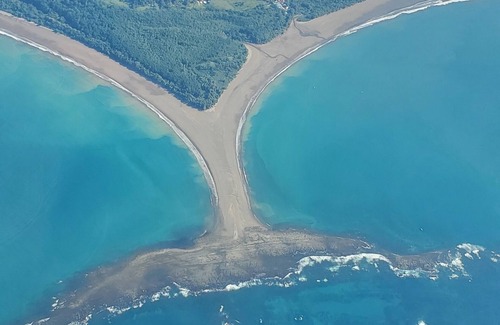 Drake Bay Cabin | Cabin Willy's Fish Camp Sleeps 2 only 600' to Markets, Tours, Beach & Eatery's