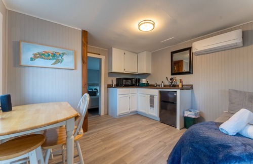 Alton Bay Cabin | Cabin with lake views & lake access Now featuring AC Wi-FI and TV sleeps 5