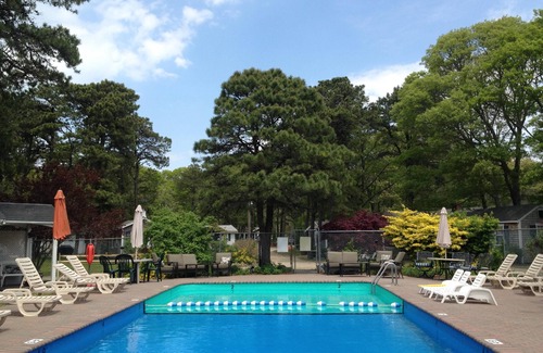 Bass River Cabin | Cabin18: Nestled In The Pines In The Heart Of Cape Cod