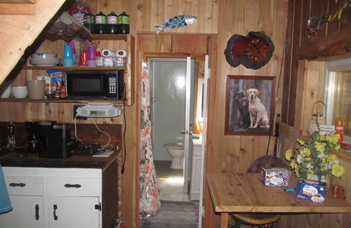 Toutle Cabin | Cabins on the Toutle River , 646 South Toutle Rd.