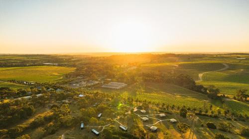 Seppeltsfield Hotel | CABN X Seppeltsfield Barossa