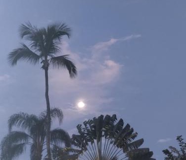 Ilha Grande House | Cachanga