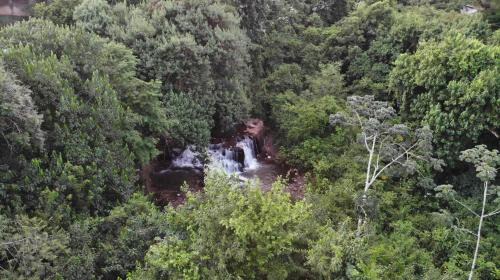 Foz do Iguacu House | Cachoeira dos pássaros