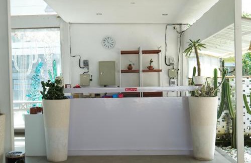 Borobudur House | Cactus Guest House Borobudur