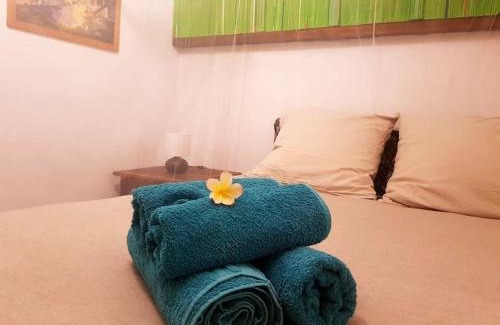 Tourrettes-sur-Loup Apartment | Cactus Om'stay Studio jacuzzi Vallée du loup
