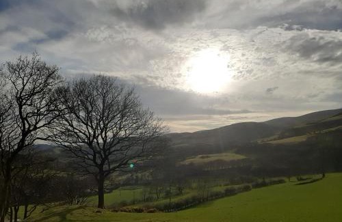 Cwrt Other | Cae Mawr Yurt Off-Grid Glamping