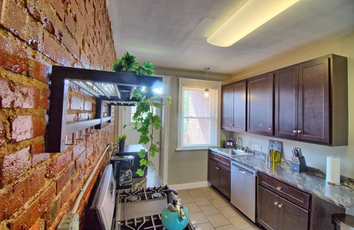 Tower Grove South Apartment | Cafe Terrace at TG Park | Fenced Backyard+W/D