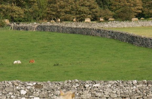 Newmarket on Fergus Bed & Breakfast | Cahergal Farmhouse B&B