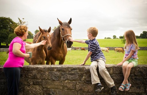 Newmarket on Fergus Bed & Breakfast | Cahergal Farmhouse B&B