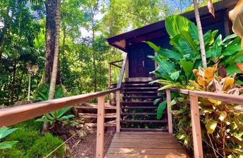 Bayview Heights Resort | Cairns Rainforest Retreat