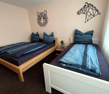 Beeck Apartment | CAL Apartments
