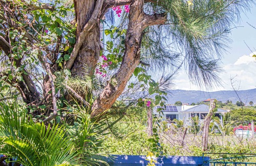 Treasure Beach Cottage | Calabash House