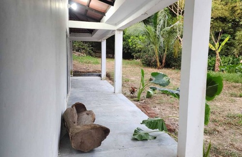 Mamatoco Cabin | CALABAZO Casa MonoCai 500 meters from the entrance to Tayrona Park.