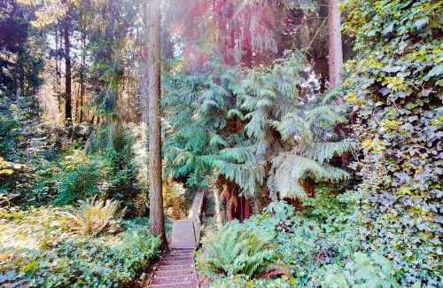 Gig Harbor House | Calamity Cabin