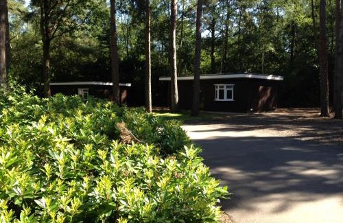 Wokingham Resort | California Chalet & Touring Park