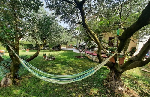 Biograd na Moru Apartment | Calimero