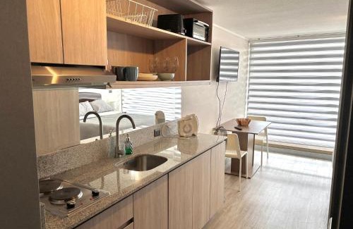 Downtown Santiago Apartment | Calle Bulnes I Parking I Wifi