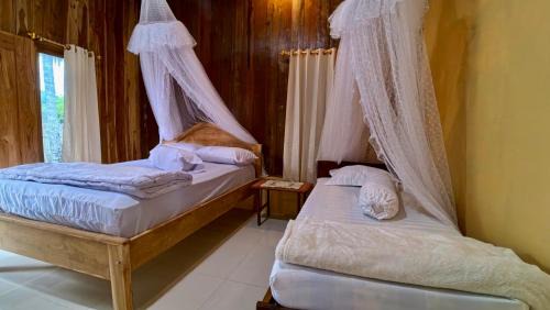 Rote Island Bed & Breakfast | Calma Surf House