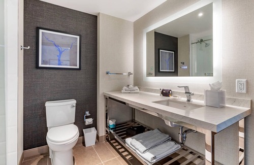 Buzzard Point Hotel | Cambria Hotel Washington D.C. Navy Yard Riverfront
