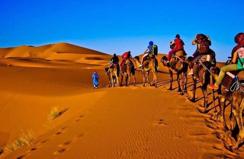 Taouz Apartment | Camel Trekking Camp