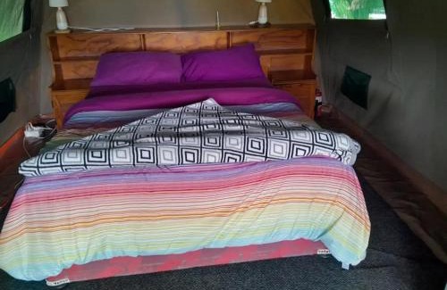 Windhoek West Other | Camp Hogo Kavango