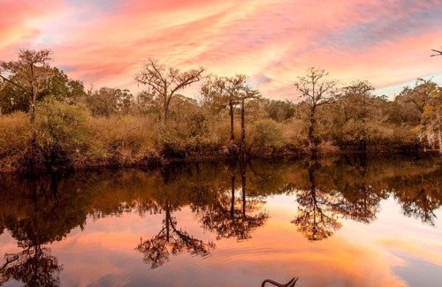 Branford House | Camp Manatee – Santa Fe River Getaway with Dock