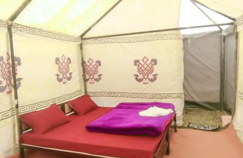 Jispa Other | Camp Paramount Journeys